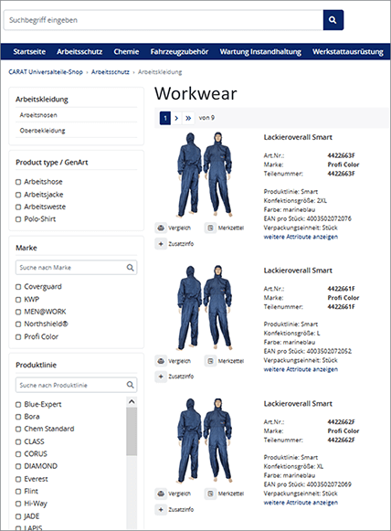 Effective search and clear results in the CARAT online store