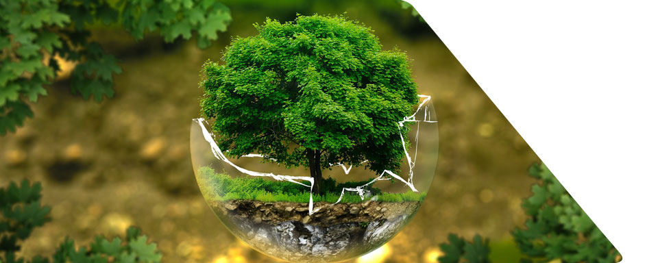 DPP promotes sustainability and supports environmental protection