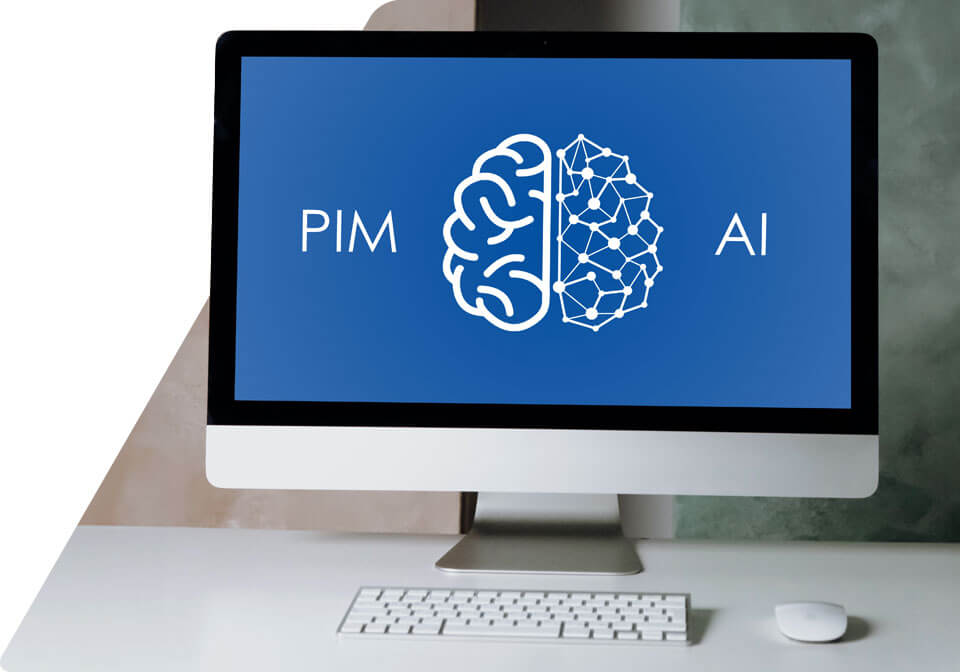 Blog on PIM and AI topics