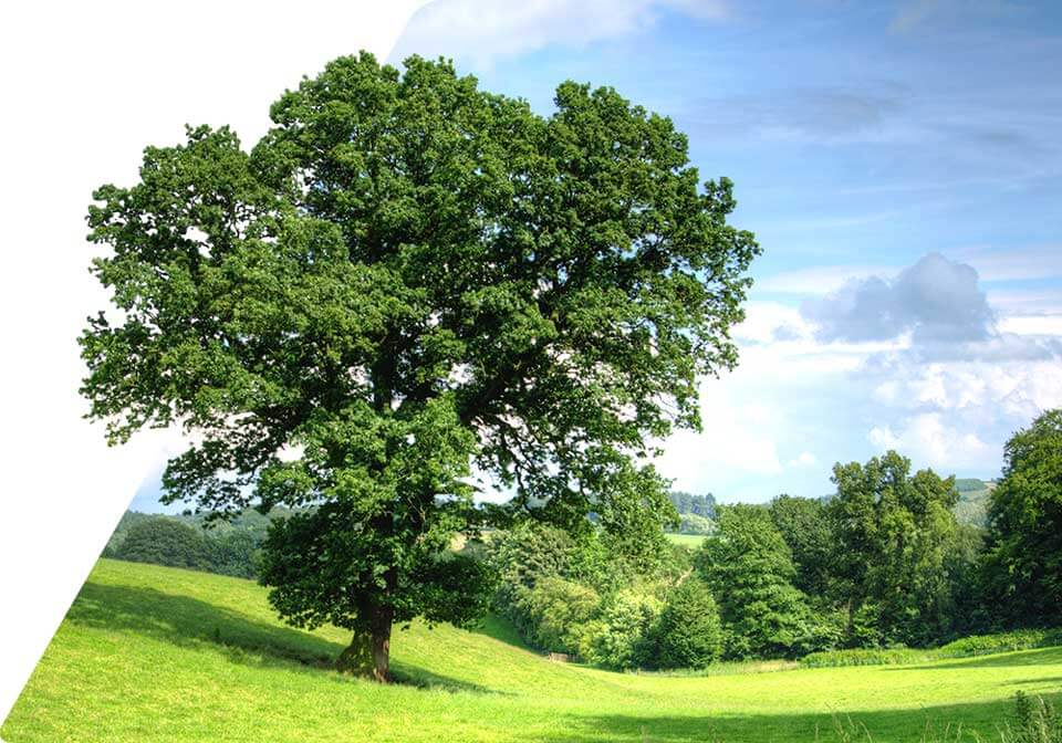 More sustainability at INCONY